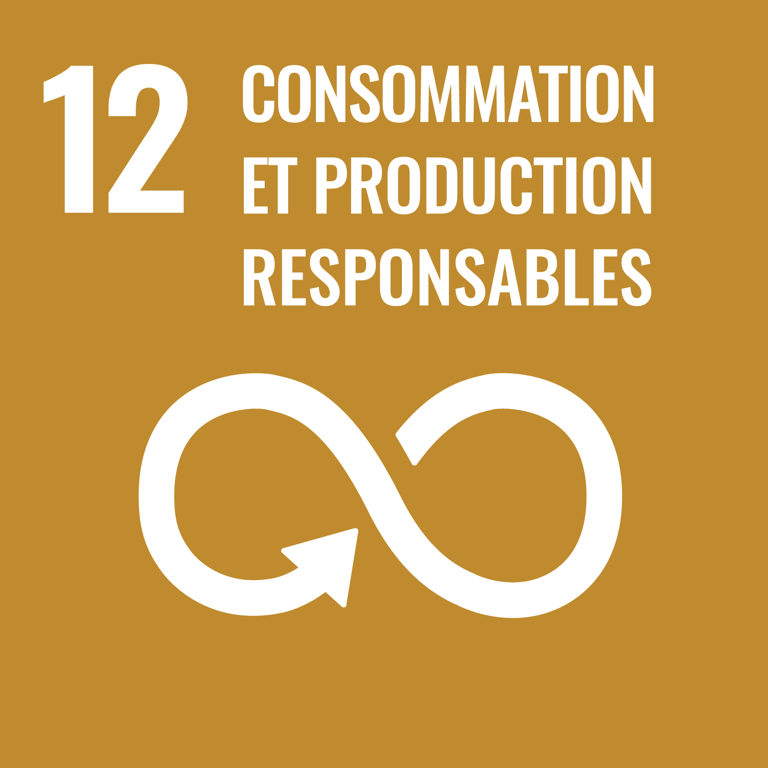 ODD 12 – Consommation et production responsables