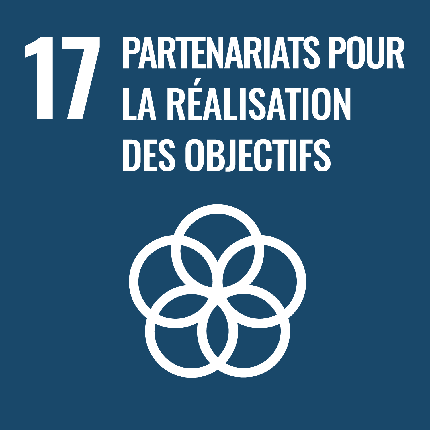 ODD 17 – Partenariats pour la réalisation des objectifs