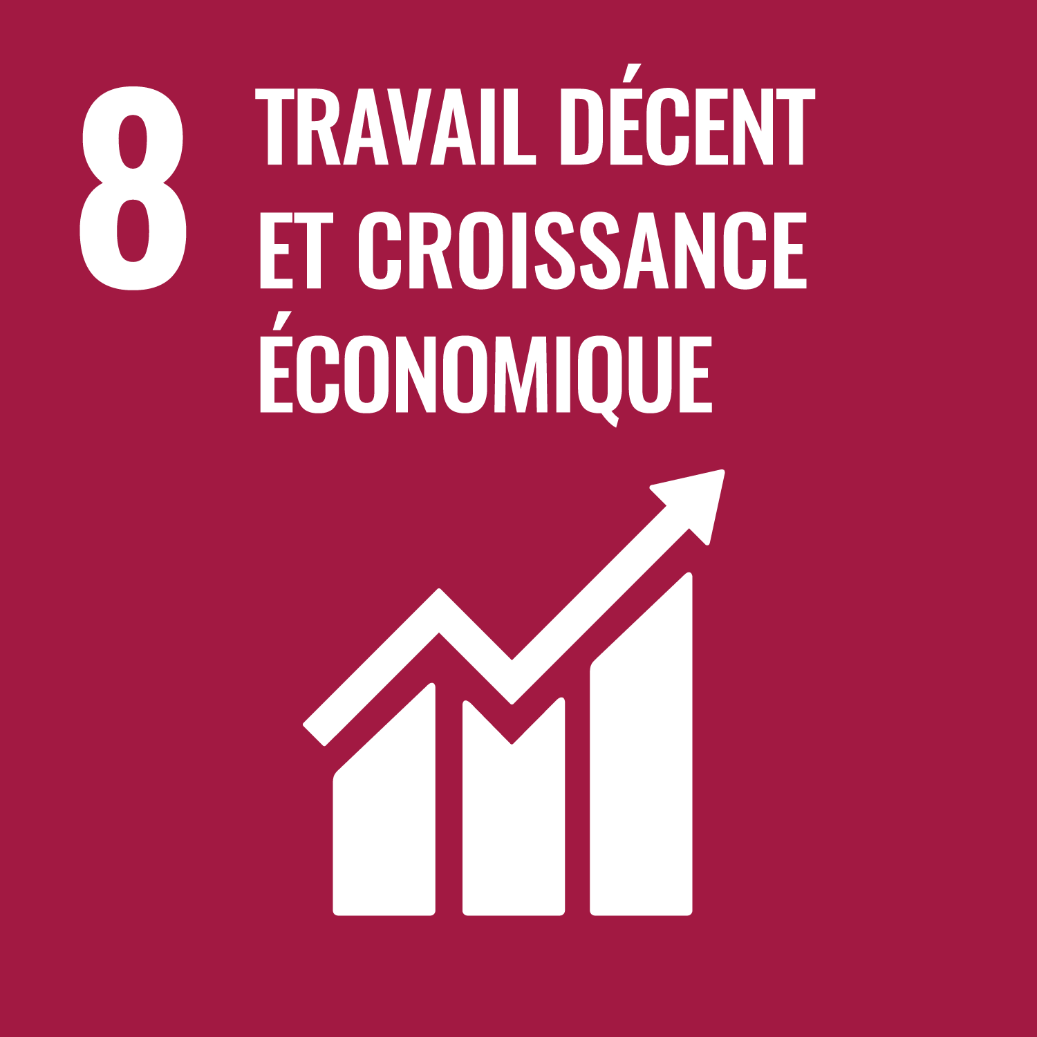 ODD 8 – Travail décent et croissance économique