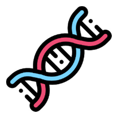 Une hélice ADN représentant l'idée de présenter l'ADN de notre groupe et sa mission