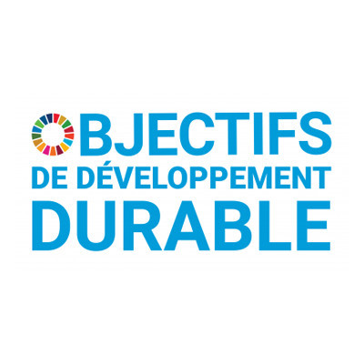 Logo de l'ODD,  les17 Objectifs de Développement Durable de l’ONU